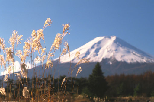 fuji.jpg (38012 Byte)